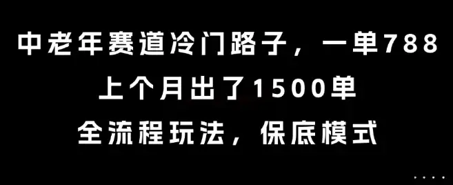 中老年赛道冷门路子，一单788，上个月出了1500单，全流程玩法，保底模式【揭秘】-优优云创