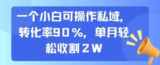 一个小白可操作私域，转化率90%，单月轻松收割2W-优优云创