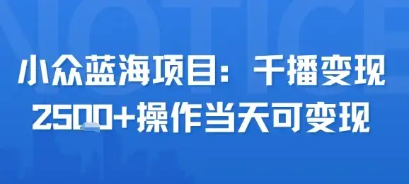 小众蓝海项目,千播变现2.5k+操作当天可变现-优优云创
