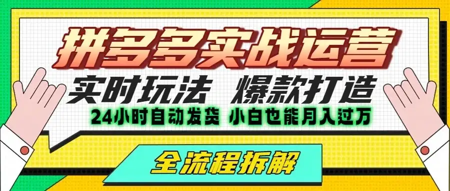 拼多多最新实战运营高投产：长久稳定项目，单店利润一天三位数-优优云创