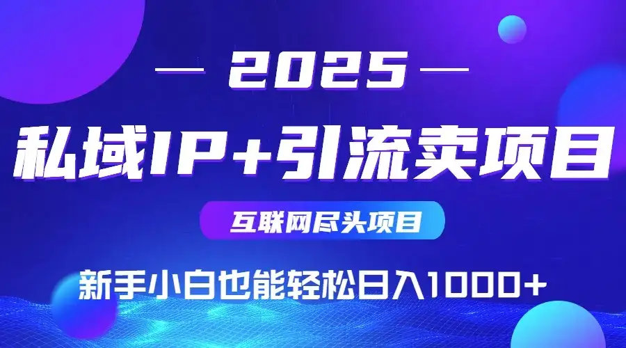 2025网创尽头项目，私域IP+引流，新手小白也能在家日入1000+-优优云创
