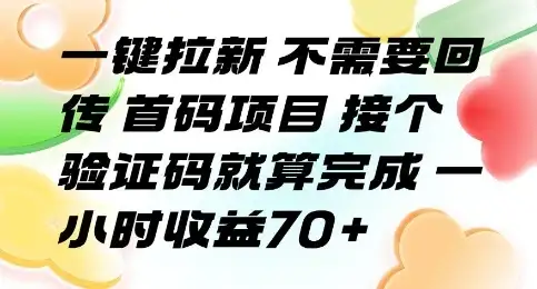 一键拉新 不需要回传 首码项目 接个验证码就算完成 一小时收益70+【揭秘】-优优云创