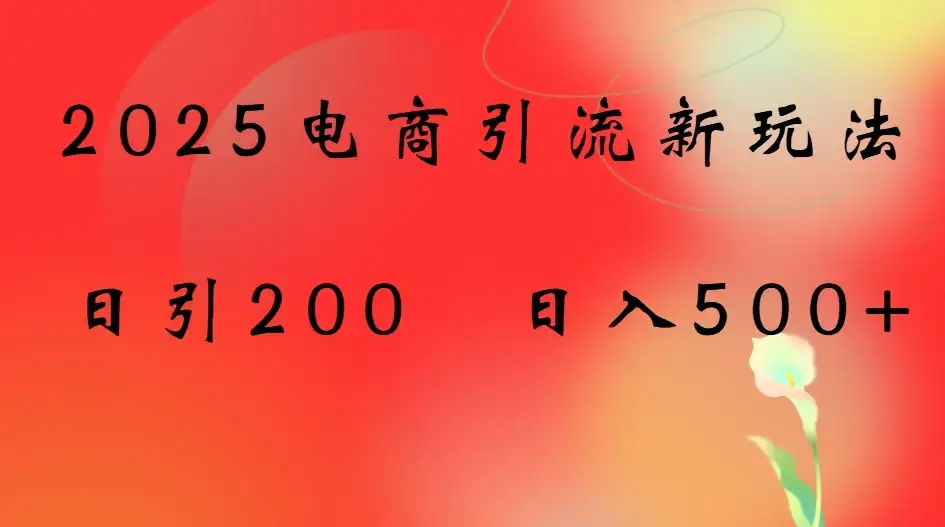 2025电商引流新玩法，日引200 日入500+-优优云创