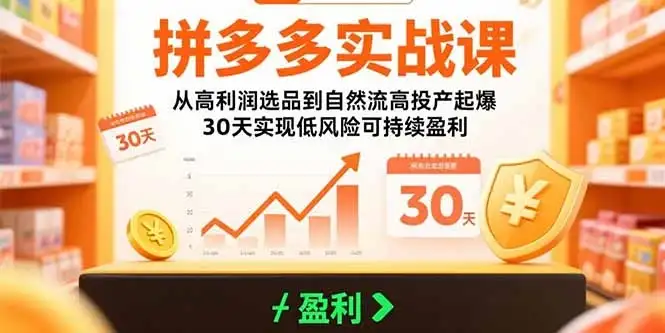 拼多多实战课：从高利润选品到自然流高投产起爆 30天实现低风险可持续盈利-副业吧