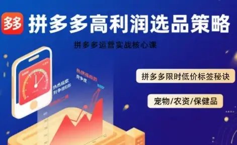 【精】拼多多选品暴利技术实战课，拼多多高利润选品策略，拼多多限时低价标签秘诀-优优云创