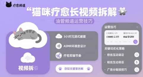 猫咪疗愈长视频拆解 &油管频道运营技巧-优优云创