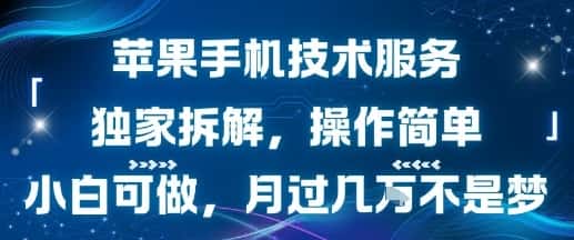 苹果手机技术服务，独家拆解，操作简单，小白可做，月过1W不是梦-优优云创