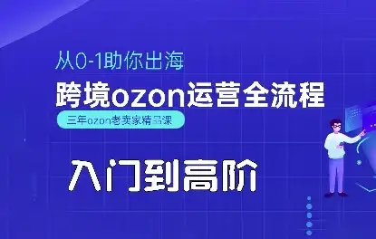 【精】OZON入门到高阶全流程，从0-1助你出海，跨境ozon运营全流程-优优云创
