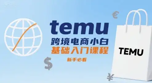 【精】temu跨境电商小白基础入门课程，新手必看-优优云创