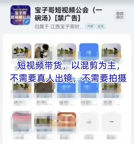 宝子哥头部团队短视频带货，以混剪为主，不需要真人出镜，不需要拍摄【更新8月】-副业吧