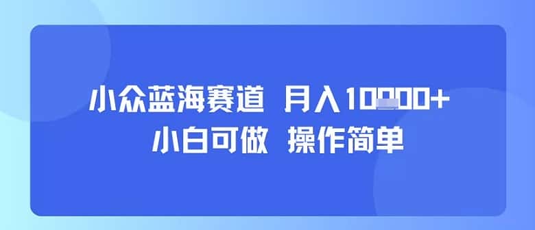 小众蓝海赛道，小白可做，操作简单，每天30分钟，月入1W+-优优云创