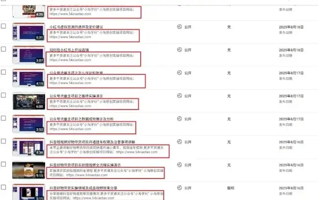 2025油管引流术，分享我是如何通过油管做引流的-创业猫