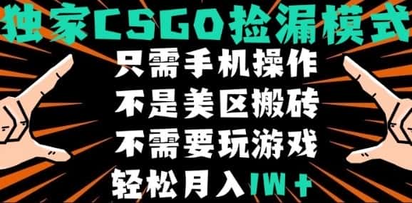CSGO自动捡漏项目，最新独家玩法，不是美区搬砖，不需要了解和玩游戏，新手小白轻松月入1W+【揭秘】-副业吧