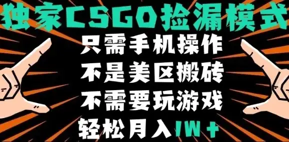 CSGO自动捡漏项目，最新独家玩法，不是美区搬砖，不需要了解和玩游戏，新手小白轻松月入1W+【揭秘】-优优云创