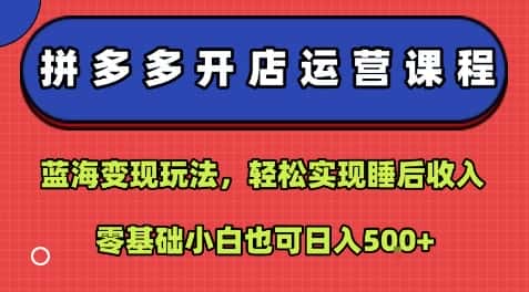拼多多开店运营课程：蓝海变现玩法，轻松实现睡后收入，零基础小白也可日入5张-优优云创