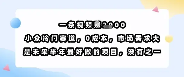 一条视频挣1k，小众冷门赛道，0成本，市场需求大，是未来半年最好做的项目，没有之一-副业吧