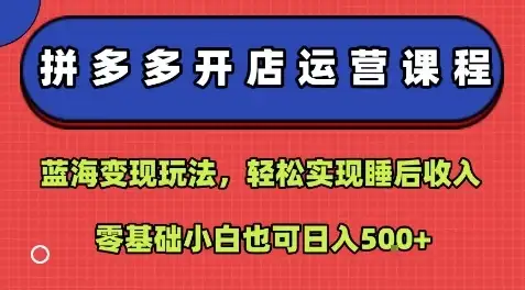 拼多多开店运营课程：蓝海变现玩法，轻松实现睡后收入，零基础小白也可日入5张-副业吧