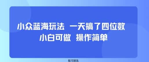 小众蓝海玩法 一天搞了四位数 小白可做 操作简单-优优云创