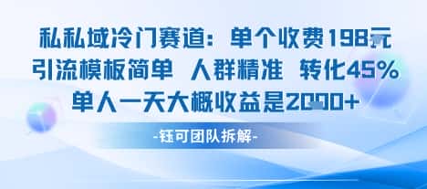 私域冷门赛道单个收费198米引流模板简单人群精准 45%的转化率单人一天大概收益多张-优优云创