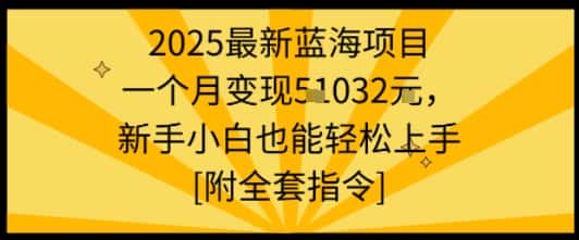 2025最新蓝海项目一个月变现1w+新手小白也能轻松上手【附全套指令】-优优云创