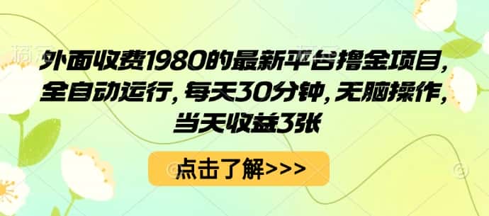 外面收费1980的最新平台撸金项目，全自动运行，每天30分钟，无脑操作，当天收益3张【揭秘】-副业吧