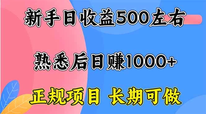新手日收益500+ 正规项目 长期可做-优优云创