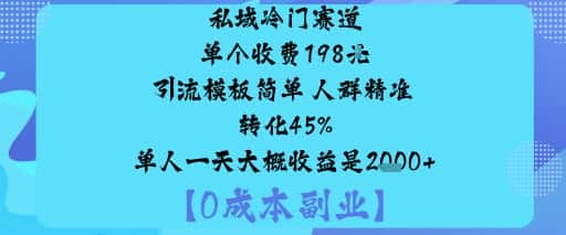 私域冷门赛道:单个收费198米引流模板简单人群精准转化45%单人一天大概收益是1k+-副业吧
