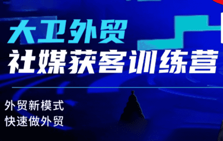 大卫老师·外贸社媒获客独家训练营(更新10月)-副业吧