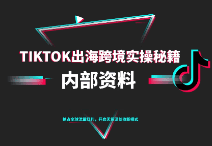 TikTok跨境电商0-1搭建运营(更新10月)-副业吧