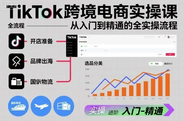 【精】TikTok跨境电商实操课，从入门到精通的全实操流程-优优云创