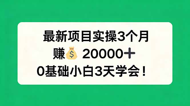 最新项目实操3个月，赚钱20000+，0基础小白3天学会！-优优云创
