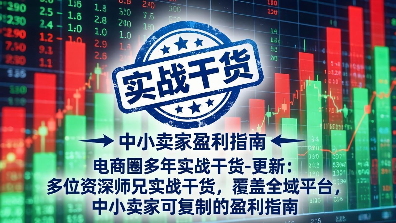 电商圈多年实战干货-更新4月：多位资深师兄实战干货，覆盖全域平台，中小卖家可复制的盈利指南-优优云创网