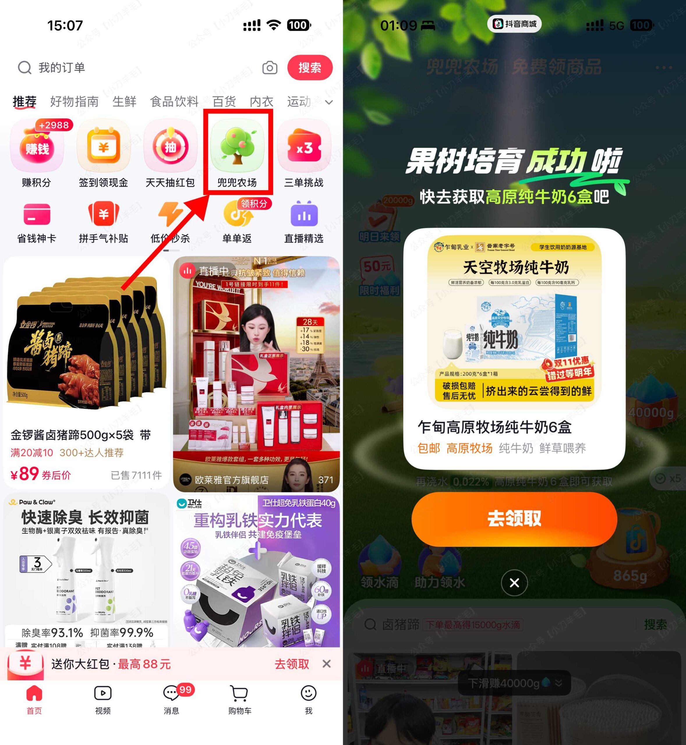 抖音商城果园种树免费得实物-优优云创网
