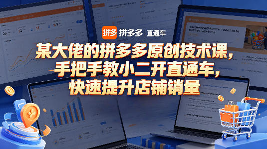 某大佬的拼多多原创技术课，手把手教小二开直通车，快速提升店铺销量-优优云创网