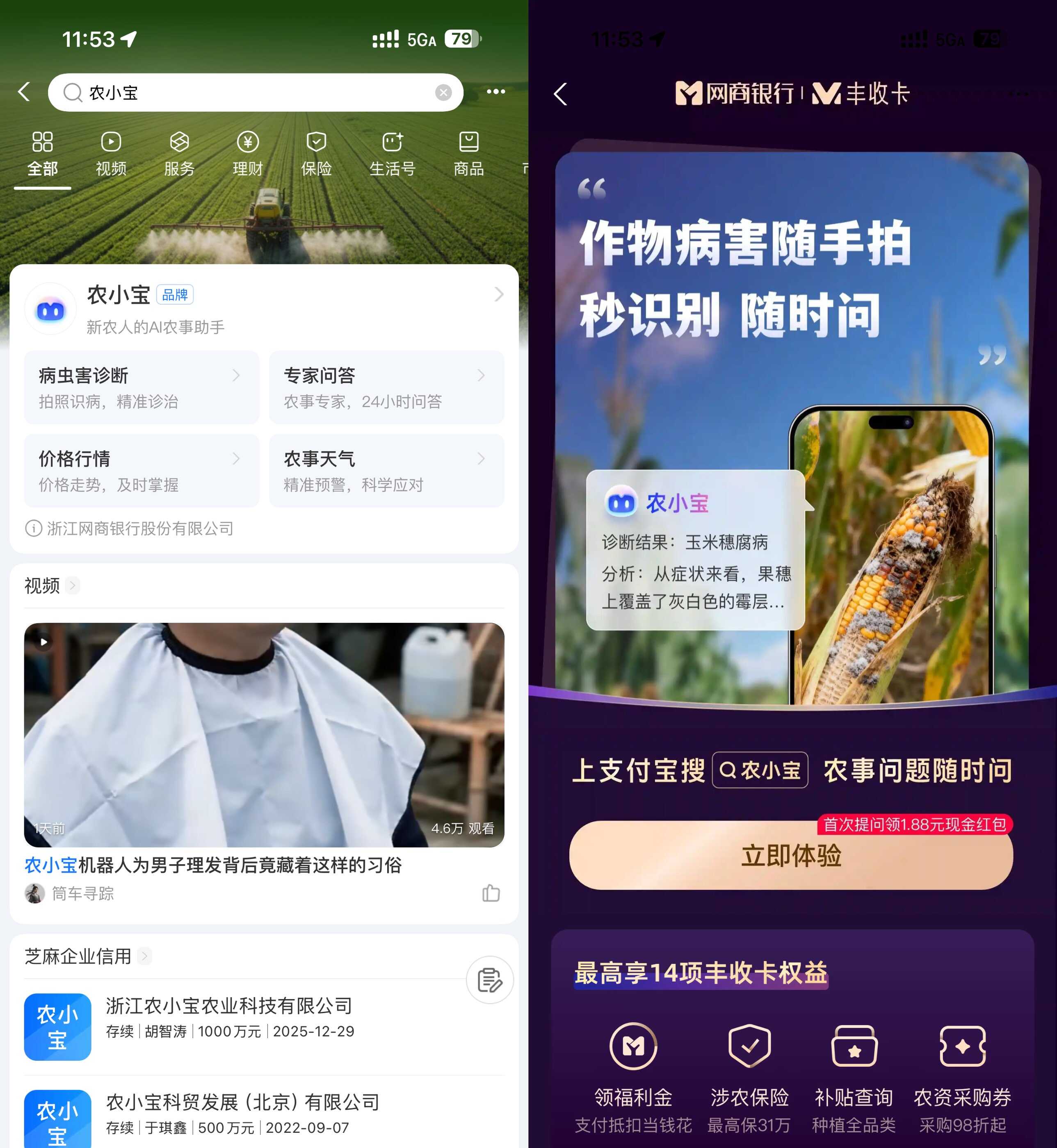 支付宝农小宝首次提问得1.88亓-优优云创网