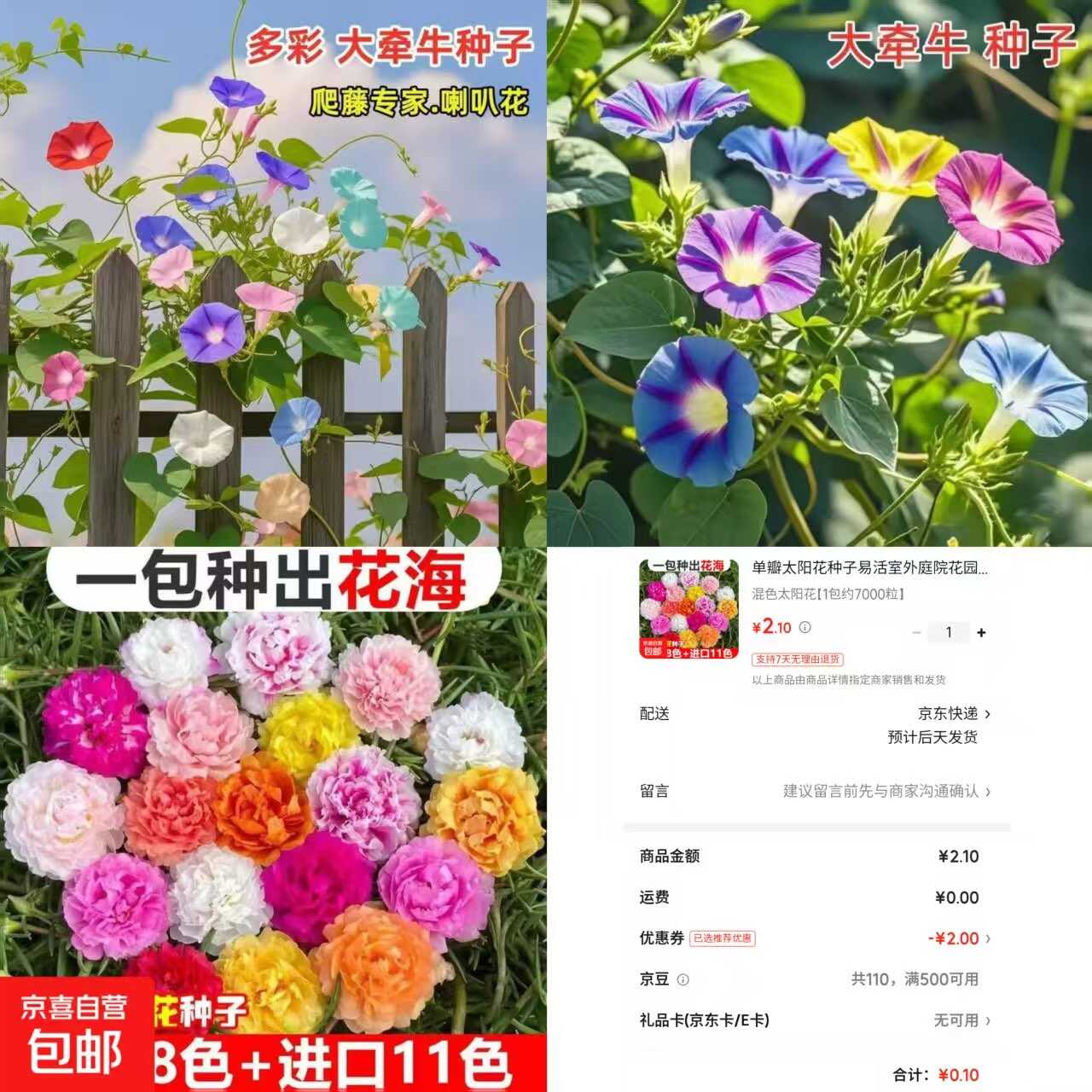 京东0.1太阳花种子约7000粒-优优云创网