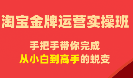 飓风电商·淘宝金牌运营实操班-优优云创网