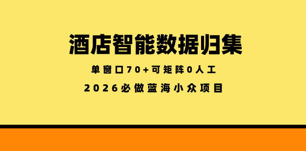 酒店智能数据归集,小众蓝海已经稳定半年之久,单窗口70+零成本矩阵开干【揭秘】-优优云创网