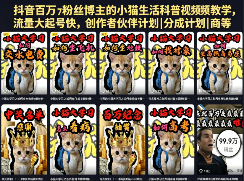 抖音百万粉丝博主的小猫生活科普视频教学,流量大起号快,创作者伙伴计划|分成计划|商单|收徒等-优优云创网