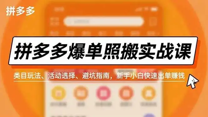 (16838期)拼多多爆单照搬实战课,类目玩法、活动选择、避坑指南,新手小白快速出单赚钱-副业吧