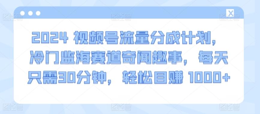 2024视频号流量分成计划，冷门监海赛道奇闻趣事，每天只需30分钟，轻松目赚 1000+【揭秘】-云创网