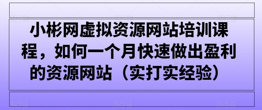 小彬网虚拟资源网站培训课程，如何一个月快速做出盈利的资源网站(实打实经验)-云创网