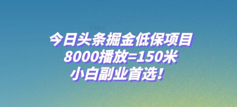 今日头条掘金低保项目，8000播放=150米，小白副业首选【揭秘】-云创网