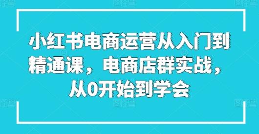 小红书电商运营从入门到精通课，电商店群实战，从0开始到学会-云创网