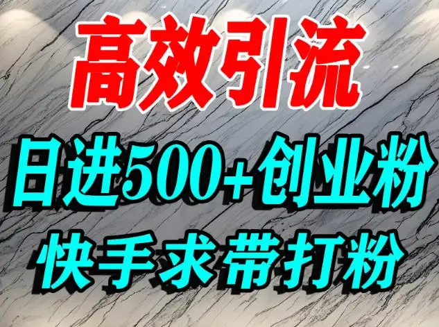 怎么打创业粉？快手求带视角精准引流创业粉，宝妈、学生群体日进500+精准流量-副业吧