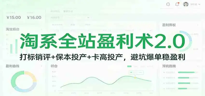 淘系全站盈利术2.0：打标销评+保本投产+卡高投产，避坑爆单稳盈利-副业吧