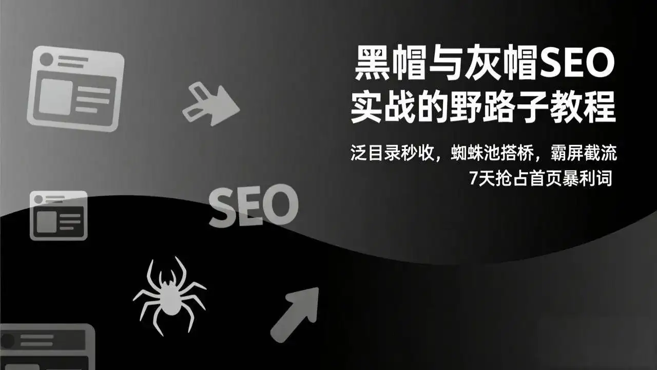 (17125期)黑帽与灰帽SEO实战的野路子教程:泛目录秒收,蜘蛛池搭桥,霸屏截流,7天抢占首页暴利词-副业吧