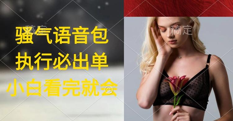 (9589期)执行就出单，日入2000+，超火骚气语音包，小白看完课程就能马上实操-云创网