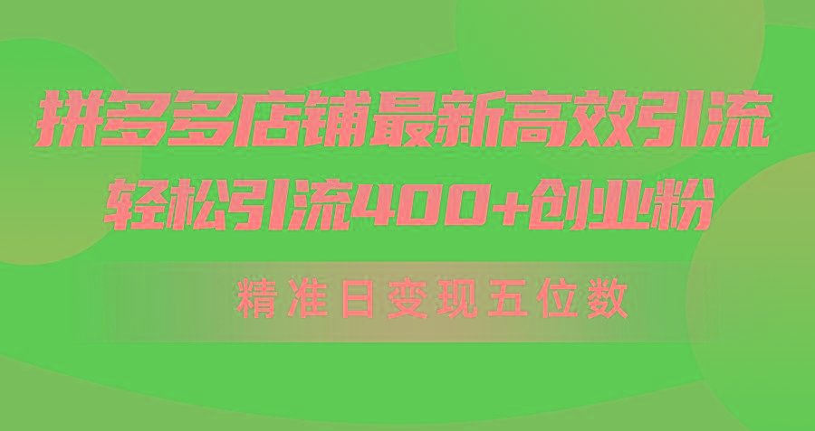 (10041期)拼多多店铺最新高效引流术，轻松引流400+创业粉，精准日变现五位数！-云创网
