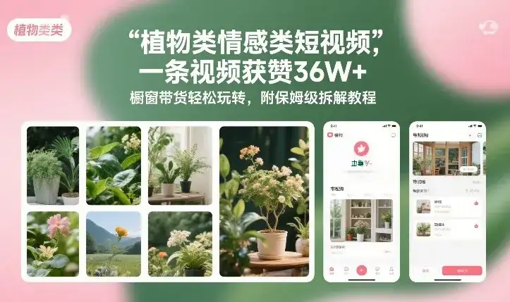 植物类情感类短视频，一条视频获赞36W+，橱窗带货轻松玩转，附保姆级拆解教程-副业吧